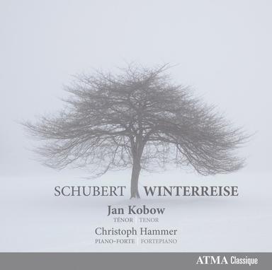 Winterreise, Op. 89, D. 911: No. 5, Der Lindenbaum