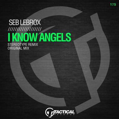 I Know Angels - Stereotype Remix
