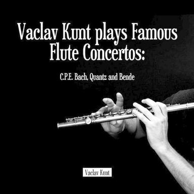 Concerto In D Minor For Flute And Orchestra, Wq 22: I. Allegro