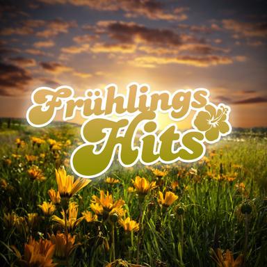 Beautiful Life - Radio Edit