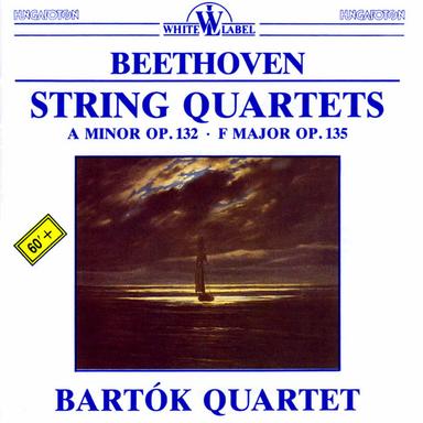 String Quartet No. 16 in F Major, Op. 135: IV. Der schwer gefasste Entschluss: Grave, ma non troppo tratto - Allegro