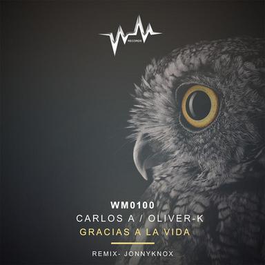 Gracias A La Vida - Original Mix