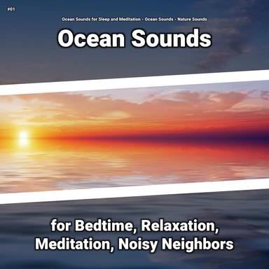 Ocean Sounds for Learning