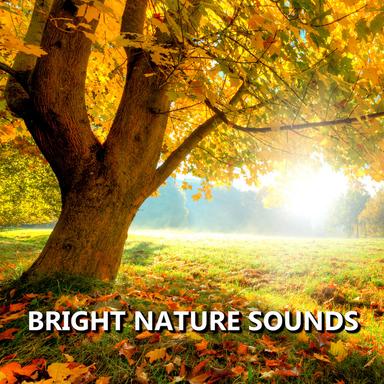 Cool Outdoor Nature Recording