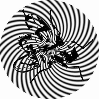 Nobody but You - Rob Made Remix