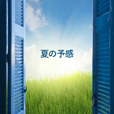 消えてしまいそうです