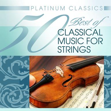 Violin Concerto in E minor, Op. 64 : II. Andante