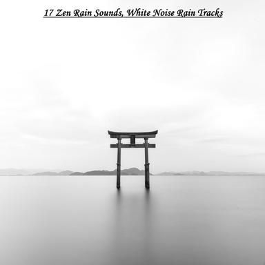 White Noise Rain Shower