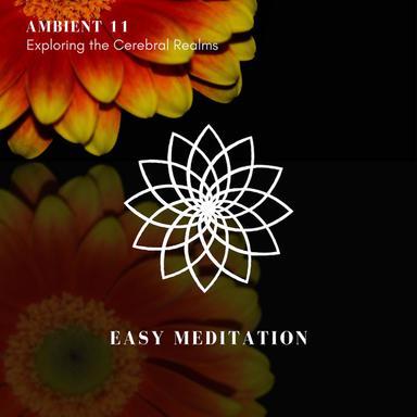 A Flash Of Memory - Original Mix