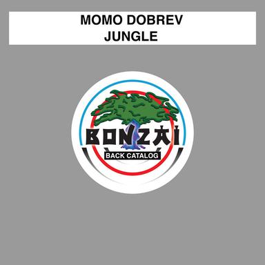 Jungle - Dr Mabuze Remix