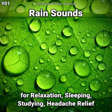 Peerless Rain Sounds