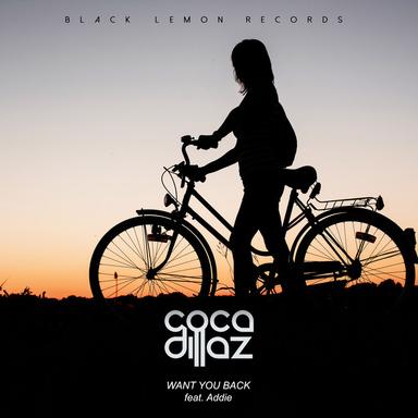 We Got the Fire - Radio Edit