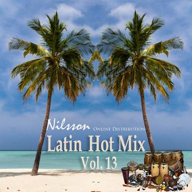Latin Hot Mix Vol. 13