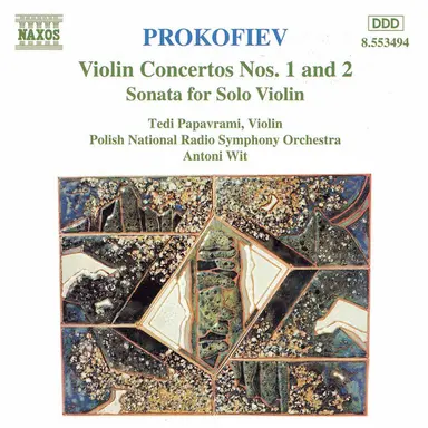 Violin Concerto No. 1 in D Major, Op. 19: I. Andantino: Andante assai