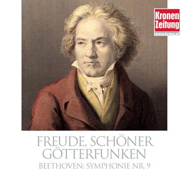 Symphony No. 9 in D Minor, Op. 125 "Choral": I. Allegro ma non troppo, un poco maestoso