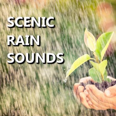 Exciting Afternoon Rain Sounds