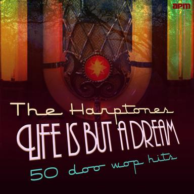 What Kind of Fool (Do You Think I Am)