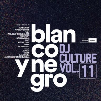 Blanco Y Negro Music: DJ Culture, Vol. 11