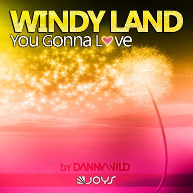 You Gonna Love - Danny Wild Radio Edit