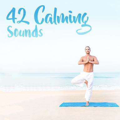 Fast Stream with Birds