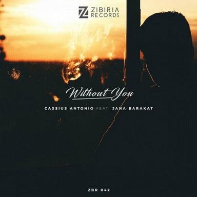 Without You - Vymvn Radio Edit