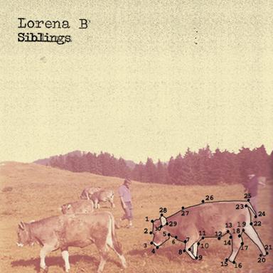 LB