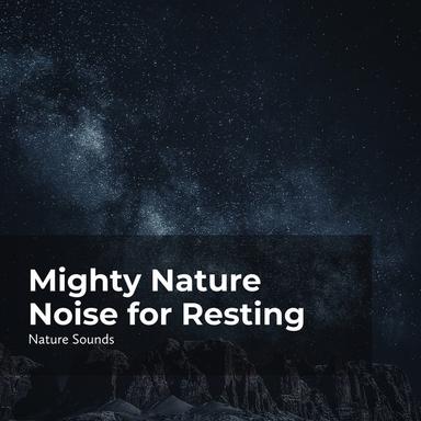 Quietude in the Forest