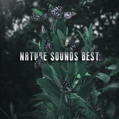 Stream from the Hill