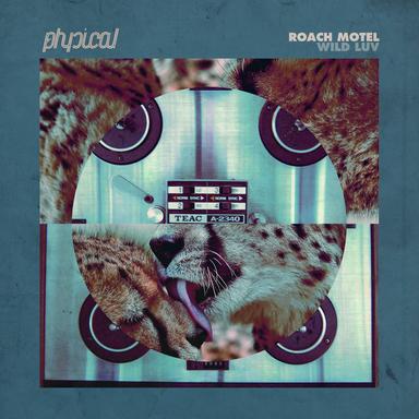 Wild Luv - DJ Pierre Wild PiTcH Mix