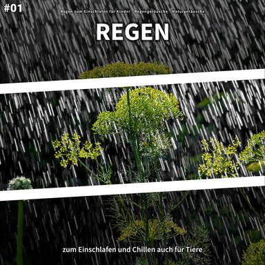 Regen Sound zum Chillen