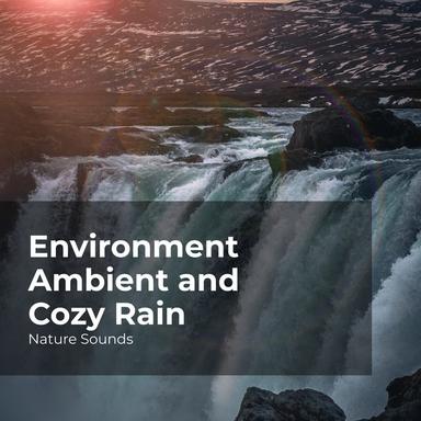 Silent Tropical Forest