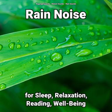 Rain Sounds to Relax Your Brain