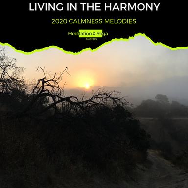 Synchronising Mind and Heart