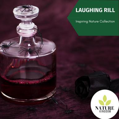 Classification Of Birds