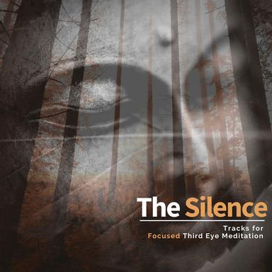 Forgetting Past - Original Mix