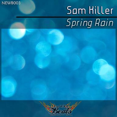 Spring Rain - Original Mix