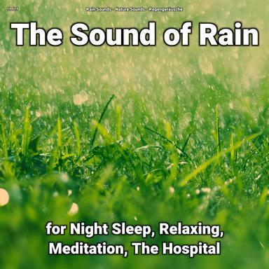 Chilling Rain Sounds