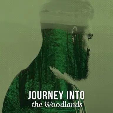 Birds in the Beech Trees