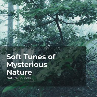 Majestic Rain Forest