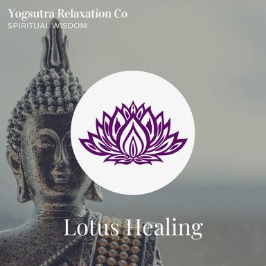 Birha - The Pain Of Being Away - Original Mix