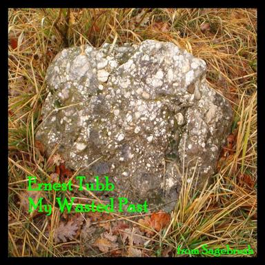 So Long (It's Been Good To Know Yuh)