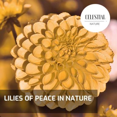 A Quite Stillness of Campfire