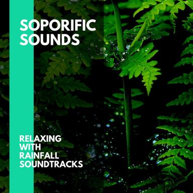 Paint with Soothing Forest Rain Tunes