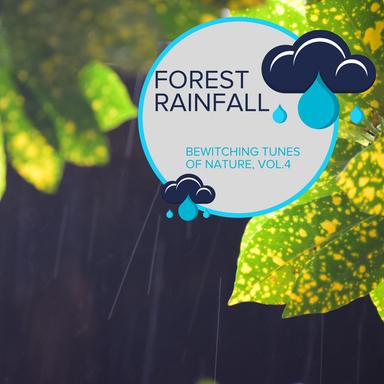 Moderate Freezing Rain Pearls