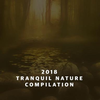 Gentle Rain in the Forest