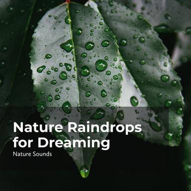 Lush Serene Wilderness