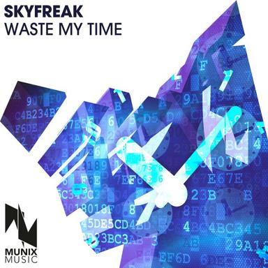 Waste My Time - Radio Edit