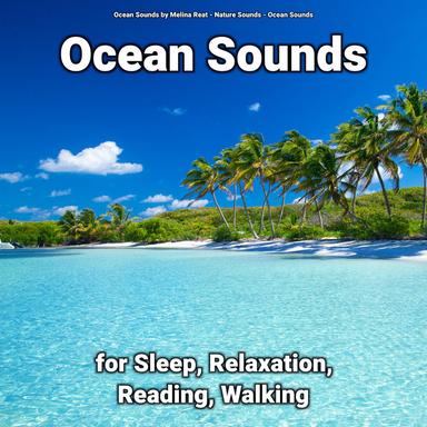 Ocean Sounds