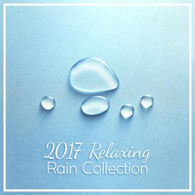 Rain on the Windshield