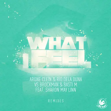 What I Feel (Remixes)